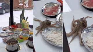 Viral: వితంతువుల గ్రామం.. పెళ్లయిన కొద్ది రోజులకే చనిపోతున్న మగవారు.. మిస్టరీ ఏంటంటే