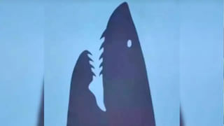 Photo Puzzle: కాస్కో భయ్యా.. ఈ ఫోటోలో ఎన్ని పప్పీస్ ఉన్నాయో చెప్పుకోండి చూద్దాం