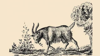 10 ఏళ్ల వయసులో ఆస్పత్రిలో జాయిన్.. 62 ఏళ్ల వయసులో డిశ్చార్జ్.. రీజన్ తెలిస్తే షాక్