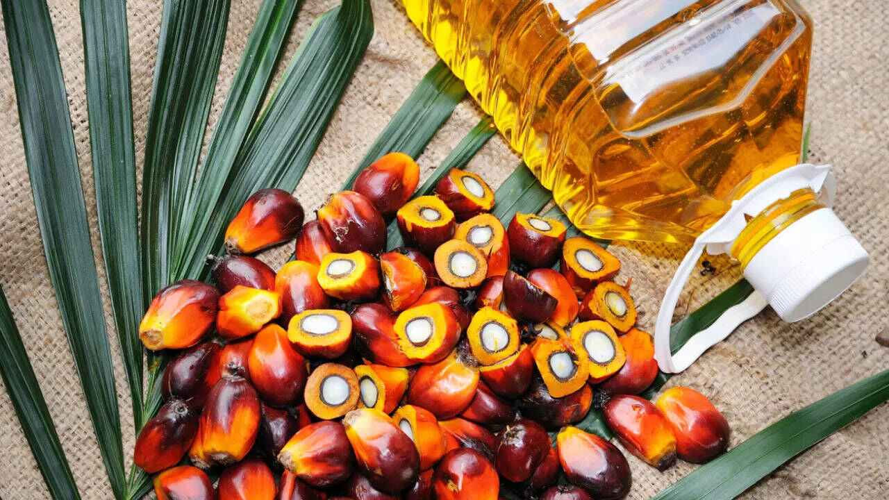 Palm Oil: బేకరీలు, రెస్టారెంట్లలో పామ్‌ ఆయిల్‌నే ఎందుకు ఎక్కువగా వినియోగిస్తారో తెలుసా? రీజన్ తెలిస్తే పరేషాన్ పక్కా!