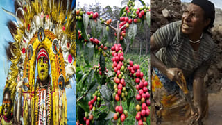 Jerusalem : పురావస్తు తవ్వకాల్లో బయటపడిన 2300 ఏళ్ల నాటి ‘బంగారు ఉంగరం’.. ప్రత్యేకత తెలిస్తే షాక్ అవ్వాల్సిందే..!