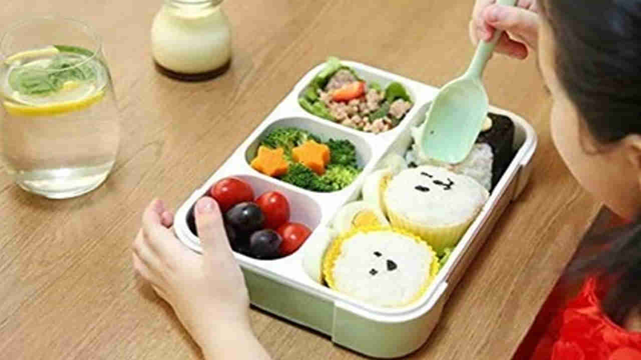 Plastic Box: మీరు కూడా ప్లాస్టిక్ బాక్సులోనే ఆహారం తీసుకెళ్తున్నారా.. ఎంత ప్రమాదమో తెలుసా..?