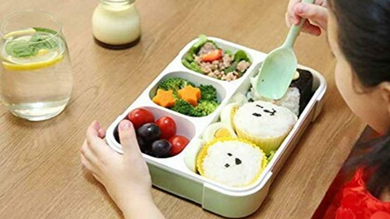 Plastic Box: మీరు కూడా ప్లాస్టిక్ బాక్సులోనే ఆహారం తీసుకెళ్తున్నారా.. ఎంత ప్రమాదమో తెలుసా..?