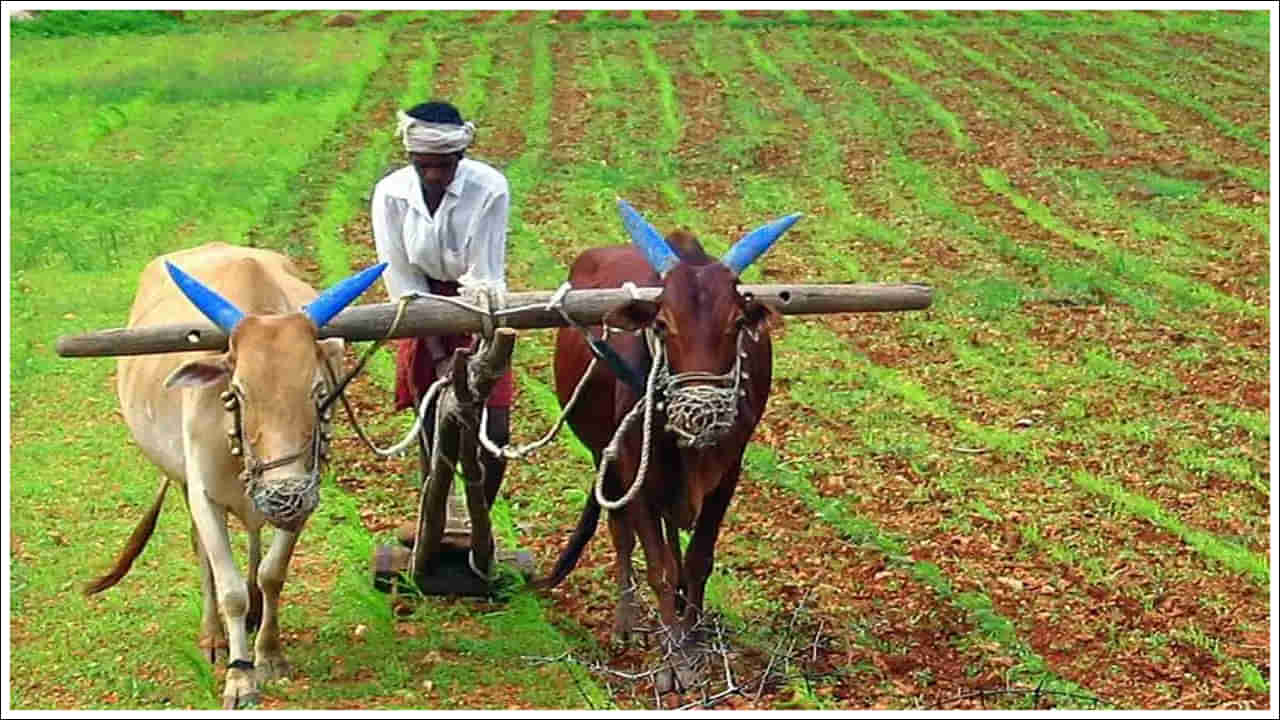 PM Kisan: రైతులకు అలర్ట్‌.. ఈ తప్పులు చేశారా? ఐతే మీకు పీఎం కిసాన్‌ డబ్బులు రావు