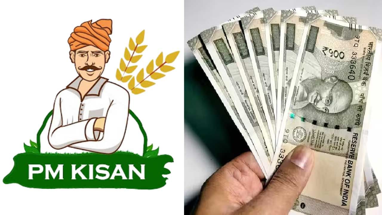 PM Kisan Yojana: పీఎం కిసాన్‌ డబ్బులు రాలేదా? కారణమిదే.. ఇలా ఫిర్యాదు చేయండి..