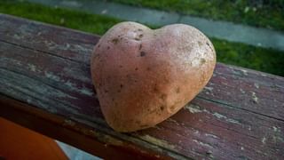 Sugar: పంచదారను తక్కువగా తీసుకుంటున్నారా.. ఈ విషయాలు మీకోసమే!