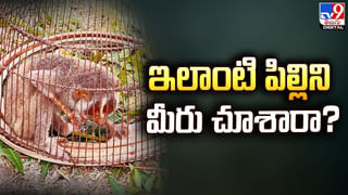 Feeling Tired: ఎప్పుడూ అలిసిపోయినట్టుగా అనిపిస్తోందా.? కారణం ఇదే.!