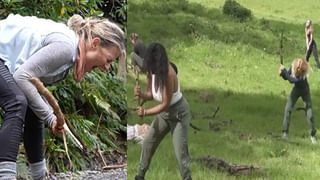 Viral Video: నీటిలో తేలియాడుతున్న మిస్టరీ ఆకారం.. చేప అనుకునేరు.. చూస్తే హడల్!