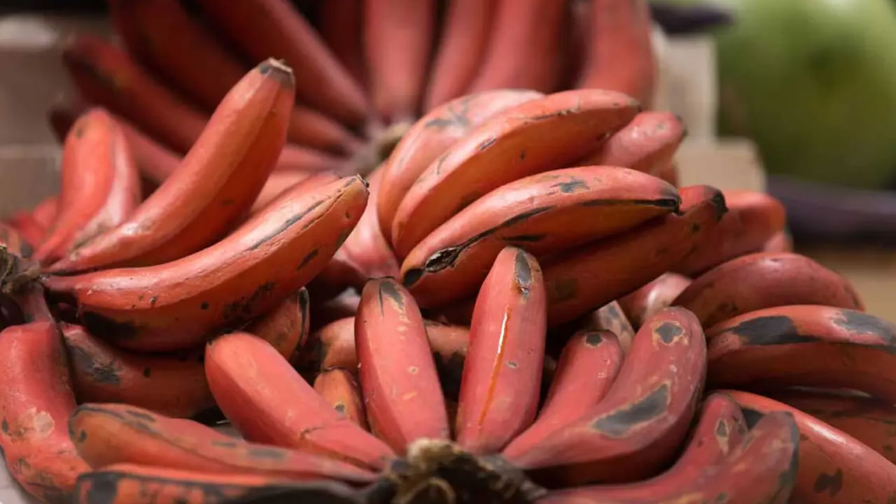 Red Banana: ఎర్ర అరటిపండ్లు ఎక్కడ కనపడ్డా కొనేయండి.. ఎందుకంటే