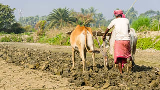Telangana: తెలంగాణ ఆవిర్భావ దశాబ్ది ఉత్సవాలకు భారీ ఏర్పాట్లు.. కనివినీ ఎరగని రీతిలో సెలబ్రేషన్స్‌కు ప్లాన్‌!
