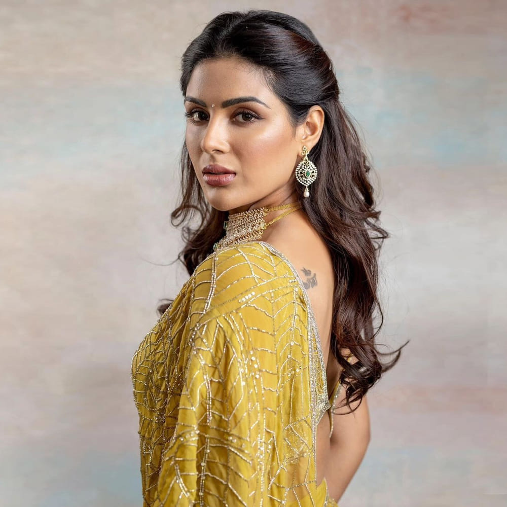 ప్రభుదేవా, కాజోల్‌ నటిస్తున్న సినిమాలో హీరోయిన్‌గా నటిస్తున్నారు సంయుక్త. దక్షిణాదిన లక్కీ గర్ల్ అనిపించుకున్నట్టే, నార్త్ లోనూ పేరు తెచ్చుకోవాలన్నది సంయుక్త లేటెస్ట గోల్‌. 