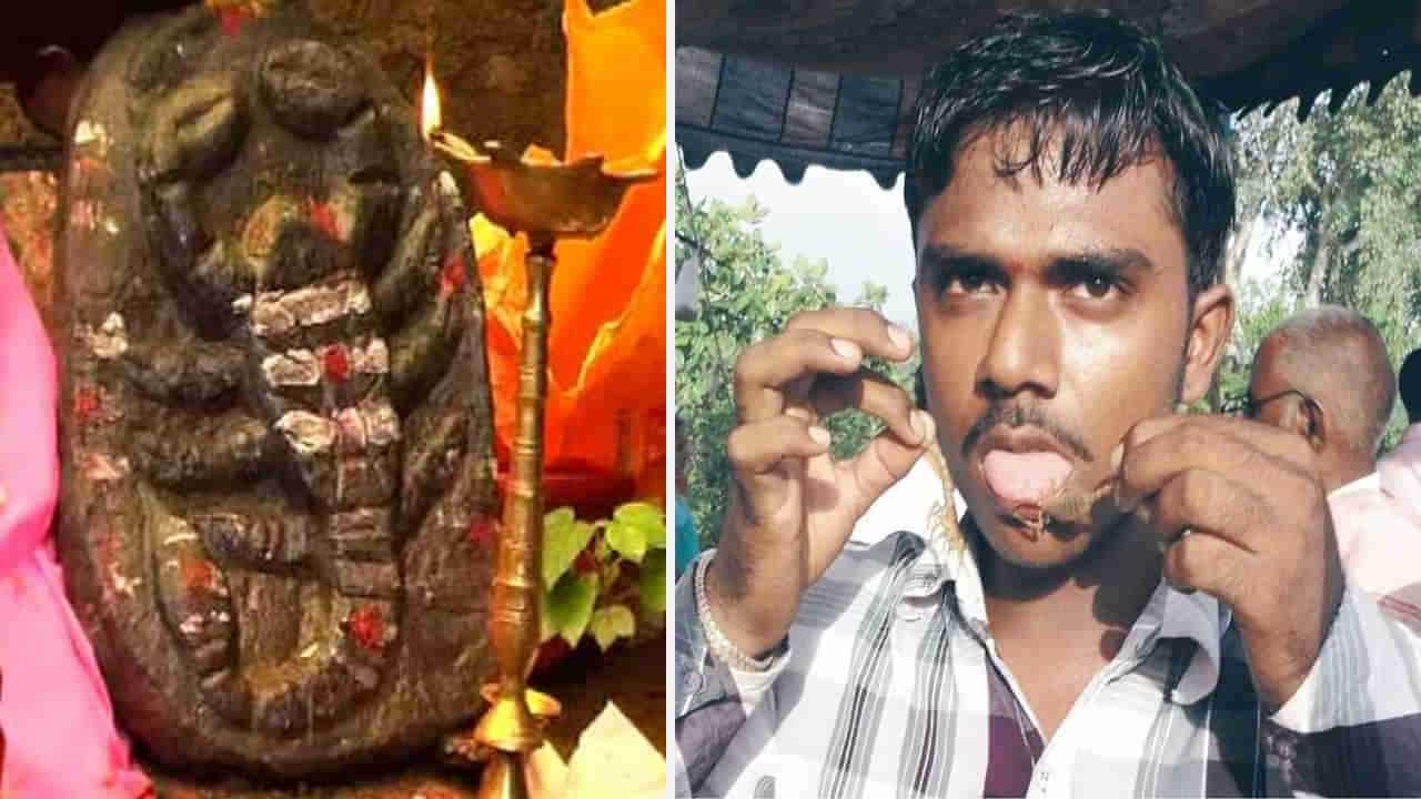 Scorpion Temple: అందరికీ అది విషపురుగు.. కానీ వాళ్లకు మాత్రం దేవత. అందుకే గుడి కట్టారు. భక్తులో పోటెత్తారు.