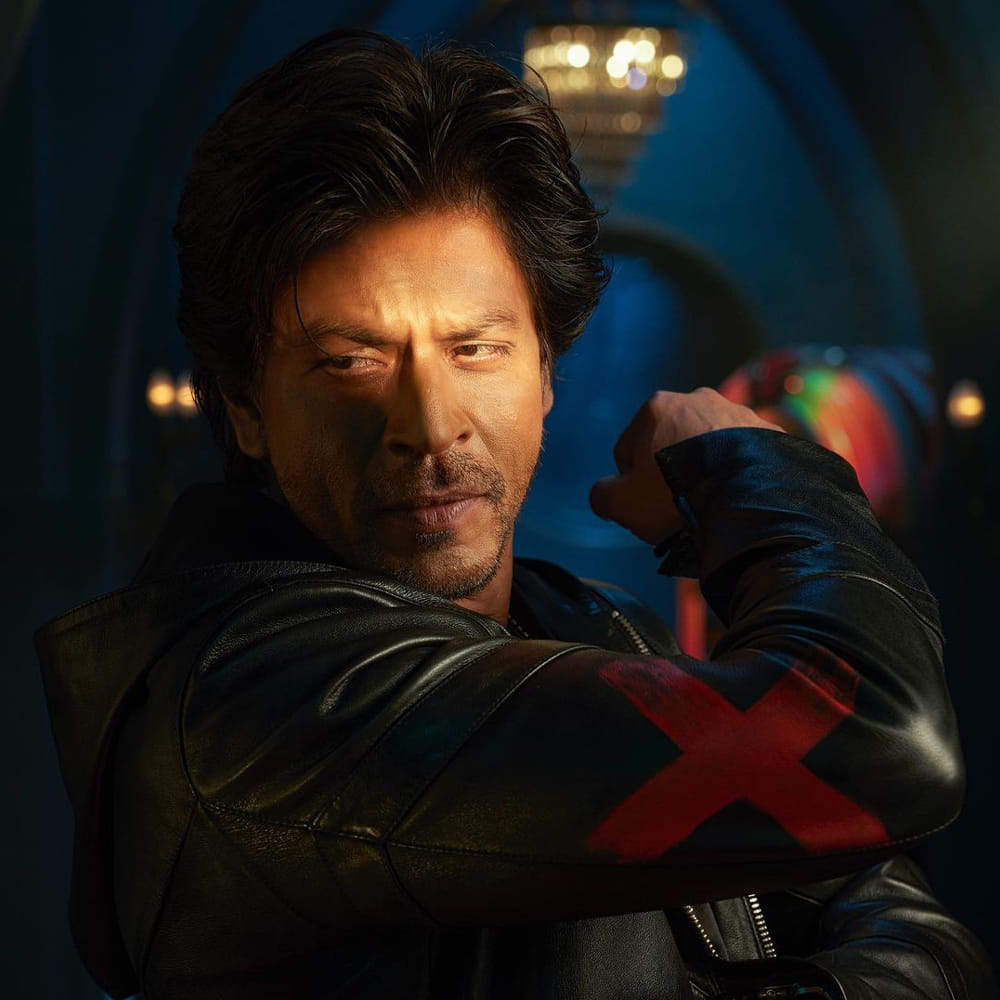 2023లో షారూఖ్ హీరోగా నటించిన డంకీ కూడా ప్రేక్షకుల ముందుకు వచ్చింది. పఠాన్‌, జవాన్ స్థాయిలో కాకపోయినా... ఈ సినిమా కూడా మంచి విజయాన్నే సాధించింది. దీంతో 2024లో బాద్‌ షా ఇదే జోరు చూపిస్తారని ఫిక్స్ అయ్యారు ఫ్యాన్స్‌. కానీ షారూఖ్‌ తీరు మాత్రం అలా లేదు.