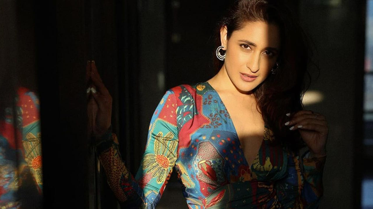   2015లో మిర్చి లాంటి కుర్రాడు చిత్రంతో తెలుగు డెబ్యూ ఇచ్చిన ఈ బ్యూటీ... అదే ఏడాది వచ్చిన కంచె సినిమాతో మంచి గుర్తింపు తెచ్చుకుంది. తర్వాత తెలుగు ఓం నమో వెంకటేశాయ, గుంటూరోడు, నక్షత్రం, జయ జానకి నాయక, ఆచారి అమెరికా, అఖండ, సన్ అఫ్ ఇండియా చిత్రాల్లో నటించింది.