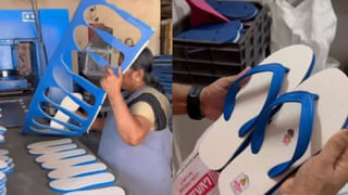 Watch Video: వార్నీ.. మీరేక్కడ దొరికార్రా బాబు.. విమానంలో సీటు కోసం ముష్టి యుద్ధం చేసిన ప్యాసింజర్లు.. చూస్తే అవాక్కే..!