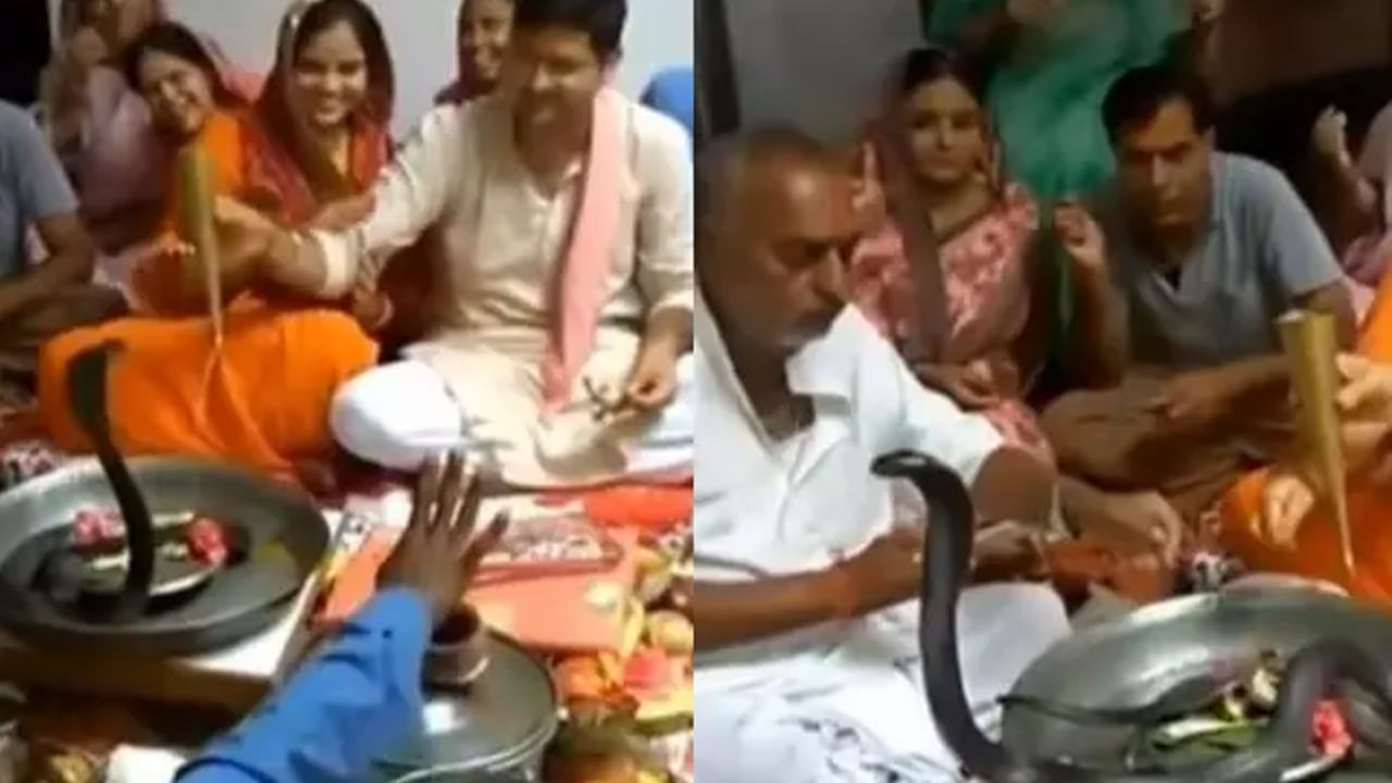 Viral Video: వామ్మో.. వీళ్లు ఏంట్రా బాబు..  నల్లత్రాచుకు నట్టింట పూజలు..