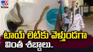 అందమైన అమ్మాయిల చెమట తో కలిపి స్నాక్స్ తయారీ.. అదరహో అంటున్న కస్టమర్స్