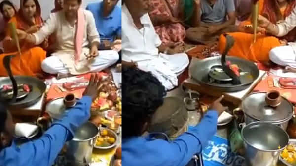 Watch Video: ఓరీ దేవుడో.. ఇదేం భక్తిరా సామీ..! భారీ కాలనాగుకు అభిషేకాలా..? మీ అదృష్టం బాగుండి బతికిపోయారు..