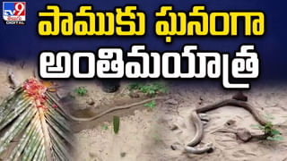 AP: ఏపీలో దేశంలోనే తొలి ప్రైవేటు బంగారు గని