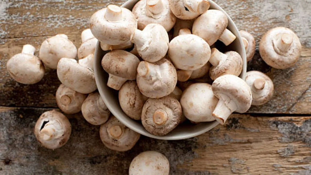 Tపుట్టగొడుగులలో ప్రోటీన్, విటమిన్లు పుష్కలంగా ఉంటాయి. ఇందులో విటమిన్-డి అధికంగా ఉంటుంది. ఫలితంగా పుట్టగొడుగులు శరీరంలో విటమిన్ డి లోపాన్ని పూరిస్తాయి. ఇది జీవక్రియను కూడా మెరుగుపరుస్తుంది.