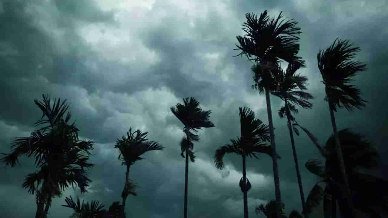 TS Rain: చల్లని కబురు.. జూన్‌ 5 నుంచి 11 మధ్య తెలంగాణకు రుతుపవనాలు! రైతన్నలు ఫుల్ ఖుష్