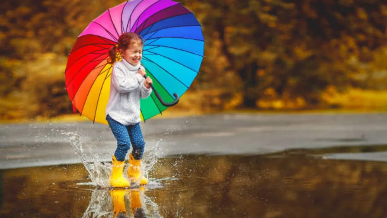 వర్షాకాలంలో పారదర్శక గొడుగులకు చాలా డిమాండ్ ఉంటుంది. అవి పెద్ద సైజుల్లో కూడా లభిస్తాయి. కానీ ఈ రకమైన గొడుగు ఫాబ్రిక్ నాణ్యత అంత మంచిగా ఉండదు. ఎప్పుడైనా పాడైపోయే అవకాశం ఉంటుంది. సమాయానికి ఏ గొడుగూ లేకపోతే, ఫ్యామిలీ గొడుగు తీసుకెళ్లడం బెటర్. అవి చూడటానికి ఇంద్రధనస్సు రంగుల్లో ఉంటాయి. పెద్ద పరిమాణంలో ఉండే ఈ గొడుగు కింద ఇద్దరు కలిసి నడవవచ్చు.