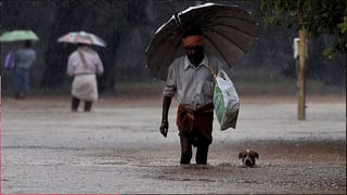 Joint Pain: కీళ్ల నొప్పులు ఎందుకు వస్తాయి..? ఏ ఆహారాలతో తగ్గించుకోవచ్చు!