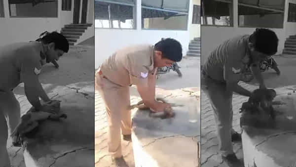 Viral Video: వడదెబ్బ తగిలి సొమ్మసిల్లిన కోతికి సీపీఆర్ చేసిన కానిస్టేబుల్! వీడియో వైరల్