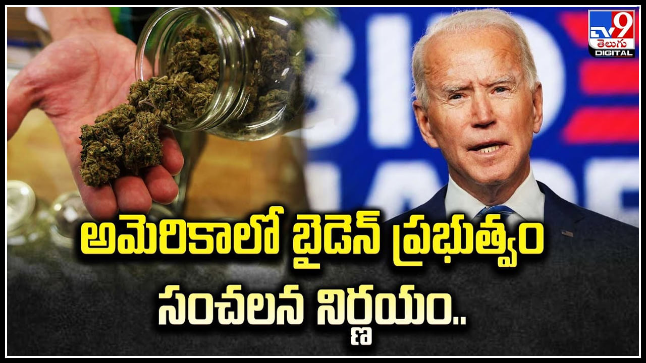 US Marijuana: అమెరికాలో బైడెన్‌ ప్రభుత్వం సంచలన నిర్ణయం.! గంజాయి బ్యాచ్‌లకు ఊరట.!