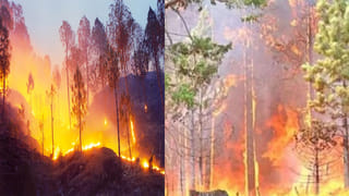 Congress List: రాయ్‌బరేలీ నుండి రాహుల్ గాంధీ, అమేథీ నుండి కేఎల్ శర్మ.. మరోసారి పోటీకి దూరంగా ప్రియాంక గాంధీ