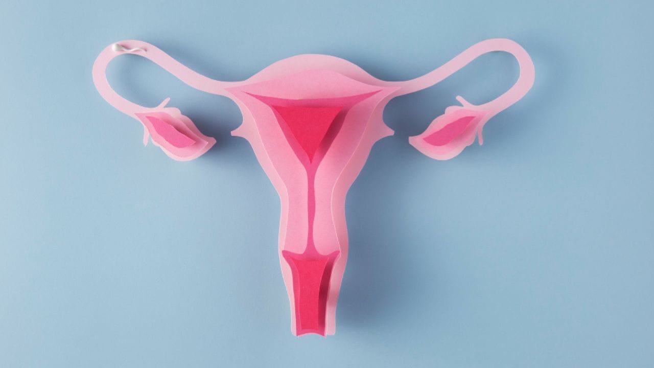 యోని శుభ్రత విషయంలో కూడా పలు జాగ్రత్తలు పాటించాలి. యోని ప్రాంతాన్ని ఎప్పుడూ శుభ్రంగా ఉంచుకోవాలి. అవసరం అయితే.. అప్పుడప్పుడు టిష్యూ, కాటన్‌ క్లాత్‌తో తుడవాలి. ఇలా చేస్తే.. దురద రాకుండా ఉంటుంది.
