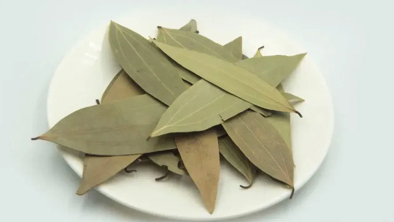 చెడు కన్ను మీపై పడకుండా ఉండాలంటే.. రాత్రి పూట రెండు బిర్యానీ ఆకులు ఇంటి ముందు కాల్చండి. అదే విధంగా సాయంత్రం పూట ఇంట్లో బిర్యానీ ఆకులు కాల్చితే.. ఆర్థిక సమస్యలు తగ్గుతాయి. అలాగే రాత్రి పూట రెండు బిర్యానీ ఆకులు కాల్చడం వల్ల ఇంట్లోని వాస్తు దోషాలు అన్నీ పోతాయి. 
