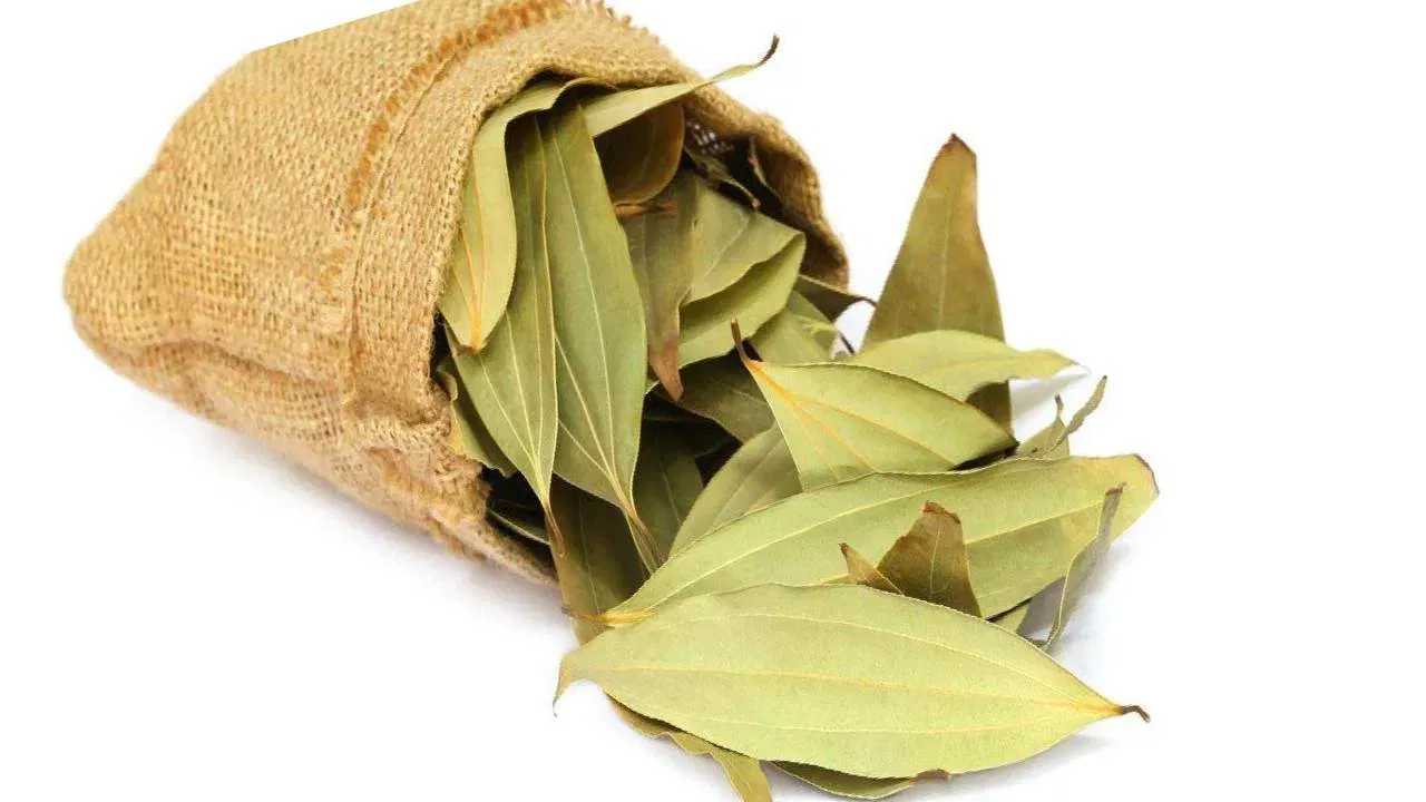 బిర్యానీ ఆకులు ఇంట్లో కాల్చడం వల్ల ఇంట్లో ఉండే నెగిటివ్ ఎనర్జీని తగ్గించి.. పాజిటివ్ ఎనర్జీ పెంచుకోవచ్చని వాస్తు శాస్త్రం చెబుతుంది. సాధారణంగా ఎవరి ఇంట్లో అయినా ఒత్తిడి అనేది ఉంటుంది. బిర్యానీ ఆకుల్ని కాల్చడం వల్ల కుటుంబంలో ఒత్తిడి చాలా వరకు తగ్గుతుంది.
