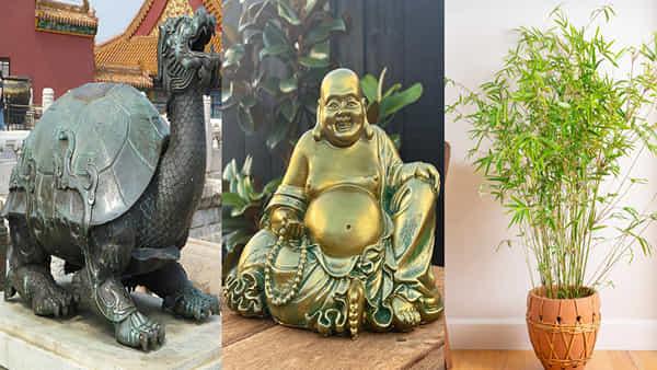 Vastu Tips: ఈ వస్తువు ఇంట్లో ఉంటే నెగిటీవ్ ఎనర్జీకి చోటే ఉండదు.. ఫెంగ్షుయ్ వస్తువులు ఏ దిశలో ఏర్పాటు చేసుకోవాలంటే