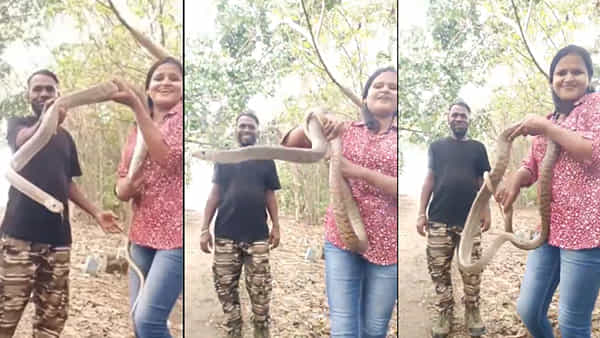 Viral Video: ఫేమస్ అవ్వాలని ప్రమాదకర పాముతో పోజులు.. కట్చేస్తే.. ఊహించని షాక్.. టెర్రిబుల్ వీడియో