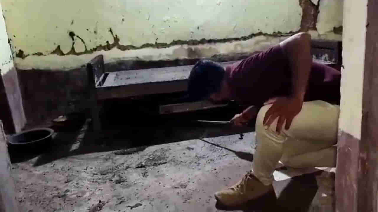 Viral Video: వింత శబ్దాలతో.. మంచం కింద కదలాడుతున్న నల్లటి ఆకారం.. ఏంటా అని చూడగా గుండె గుభేల్