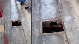 Vande Bharat: వందేభారత్, వందే మెట్రో మధ్య తేడాలివే.. పూర్తి వివరాలు ఇవిగో..