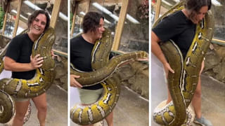 Optical illusion: మీ కళ్లలో పవర్‌ ఉందా.? ఈ ఫొటోలో ఉన్న క్యాప్‌ను గుర్తించండి చూద్దాం.