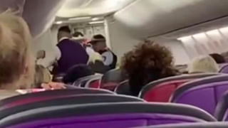 Watch: న్యూస్‌ యాంకర్‌కు లైవ్‌లో అడ్డొచ్చిన ఈగ.. ఏం చేసిందో చూస్తే అవాక్కే..! నెటిజన్ల ప్రశంసలు