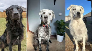 Vaginal Care: యోనిలో వచ్చే దురద, మంటకు ఇలా చెక్ పెట్టండి..