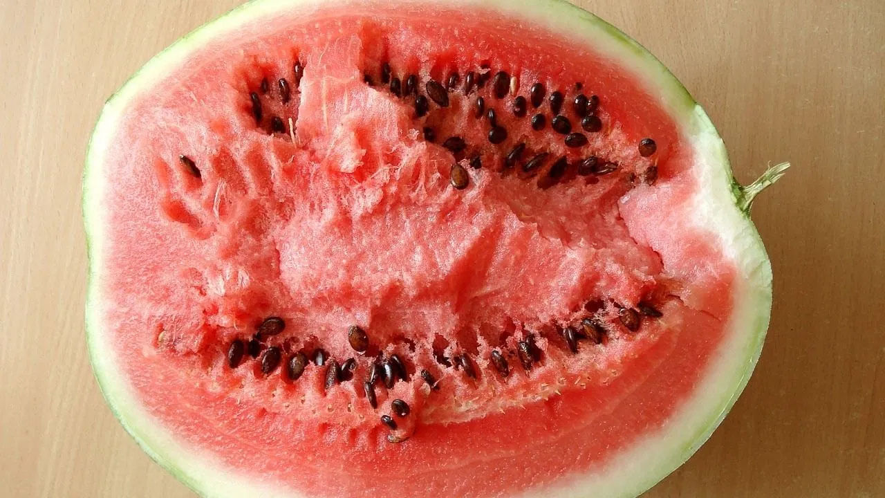 Watermelon 3