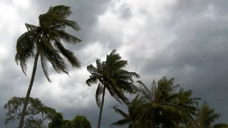 బ్రతుకు జీవనమే కాదు.. అతని దేహమే బంగారు రూపం.. ప్రత్యేక ఆకర్షణగా నిలిచిన యువకుడు..