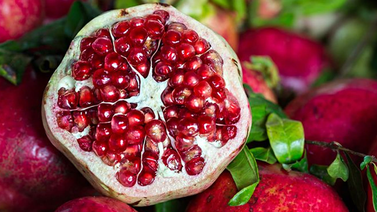 ఆస్తమా రోగులు తినే ఆహారంలో దానిమ్మ , కివిలను చేర్చుకోండి. ఇందులో యాంటీఆక్సిడెంట్లు పుష్కలంగా ఉంటాయి. అంతేకాదు ఆస్తమాతో బాధపడేవారికి కూడా అవకాడో ప్రయోజనకరంగా పరిగణించబడుతుంది.  అల్లం ఆస్తమా రోగులకు ప్రయోజనం చేకూరుస్తుంది. ఎందుకంటే అల్లం తినే ఆహారంలో చేర్చుకోవడం ద్వారా  గొంతు ఇన్ఫెక్షన్ నివారించవచ్చు.