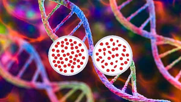 World Thalassemia Day 2024: చిన్నారులను పట్టిపీడిస్తోంది.. తలసేమియా లక్షణాలు.. చికిత్స గురించి తెలుసుకోండి..