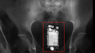 PM Modi: భయపడ్డారు.. పారిపోయారు.. రాహుల్ గాంధీపై ప్రధాని నరేంద్ర మోదీ కీలక వ్యాఖ్యలు