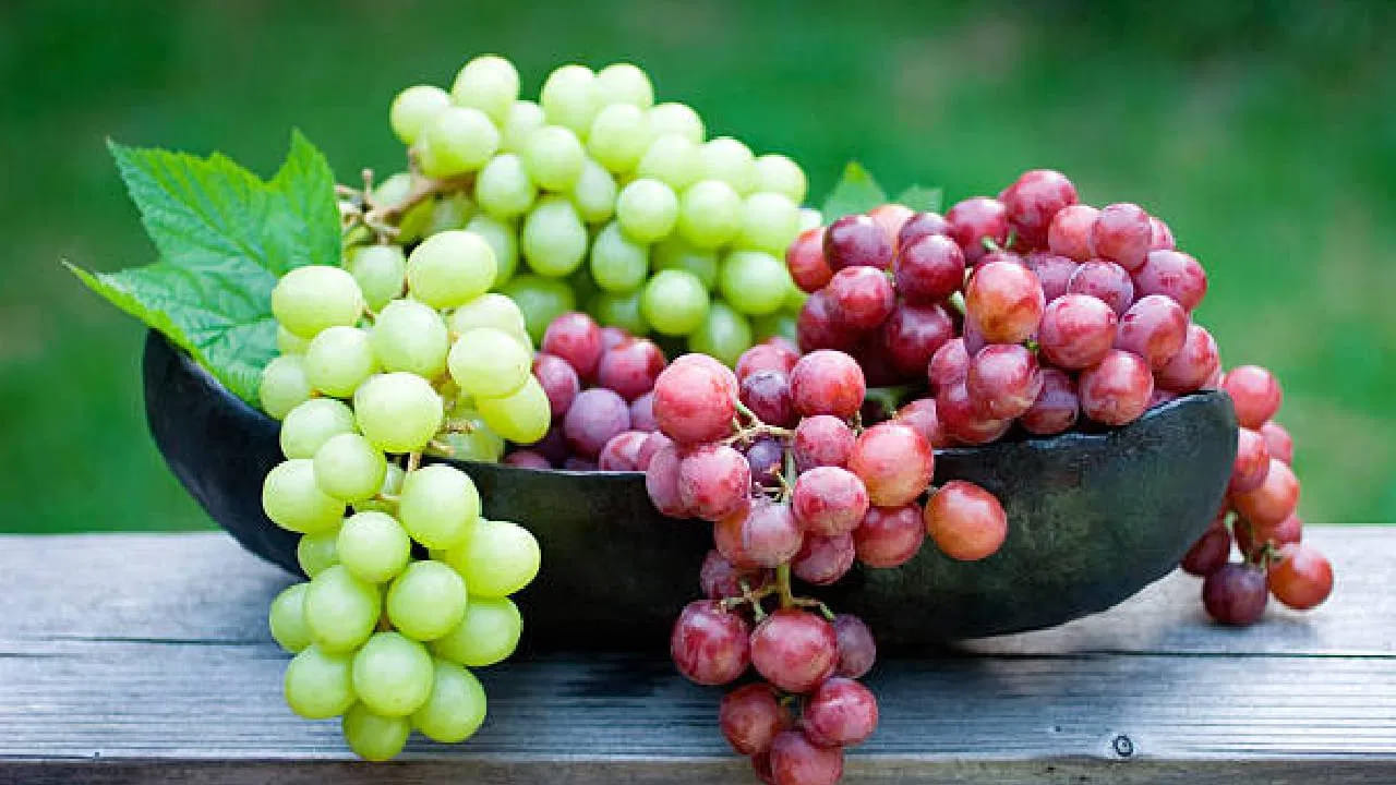 ద్రాక్షలో పోషక విలువలు ఉన్నందున, వాటిని క్రమం తప్పకుండా తినడం ఆరోగ్యానికి మేలు చేస్తుంది. అలాగే దీర్ఘకాలిక వ్యాధులు తగ్గించడంలో సహాయపడతాయి. ప్రతిరోజూ ద్రాక్ష తినడం వల్ల బరువు పెరగకుండా నిరోధించవచ్చు. ద్రాక్షలో నీటి శాతం ఎక్కువగా ఉండటం వల్ల త్వరగా కడుపు నిండిన అనుభూతి కలుగుతుంది.