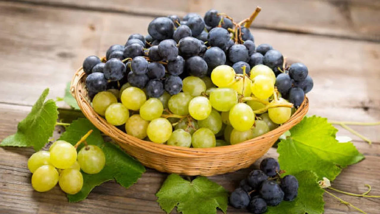 బరువు తగ్గడానికి ఇదే ప్రధాన కారణం. ద్రాక్షలో ఉండే ఫైబర్ కూడా శరీరానికి కావల్సిన శక్తిని అందిస్తుంది. మలబద్దకం సమస్యను నిర్మూలిస్తుంది. ఇతర పండ్లతో పోలిస్తే ద్రాక్షలో కేలరీలు తక్కువగా ఉంటాయి. ద్రాక్షలో విటమిన్ సి అధికంగా ఉండటం వల్ల రోగనిరోధక వ్యవస్థను పెంచడంలో సహాయపడుతుంది. ద్రాక్ష జీర్ణక్రియ వ్యవస్ధ మెరుగుపడేందుకు సహాయపడుతుంది.