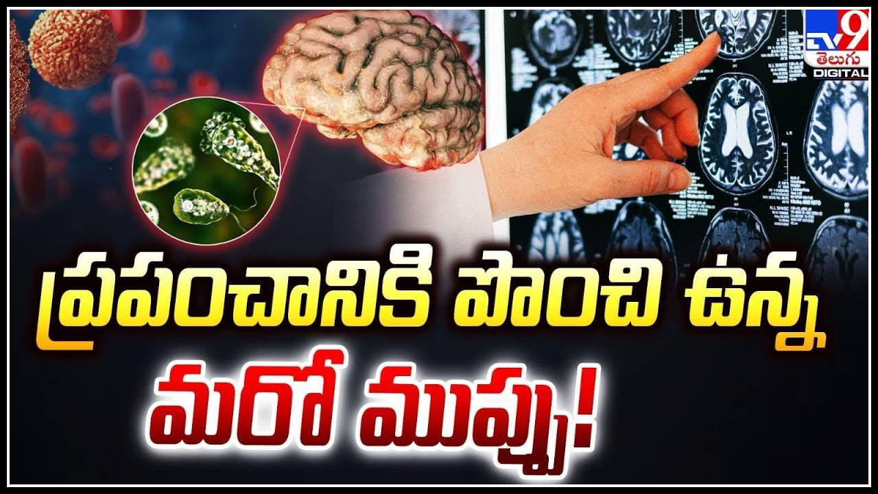 Brain-Eating Amoeba: ప్రపంచానికి మరో ముప్పు.! స్నానానికి వెళ్లి బ్రెయిన్ ఈటింగ్‌ అమీబాతో మృతి.