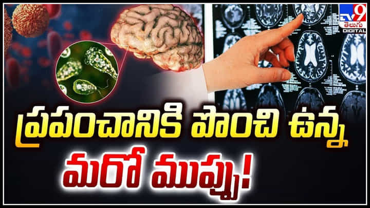Brain-Eating Amoeba: ప్రపంచానికి మరో ముప్పు.! స్నానానికి వెళ్లి బ్రెయిన్ ఈటింగ్ అమీబాతో మృతి. Brain-Eating Amoeba: ప్రపంచానికి మరో ముప్పు.! స్నానానికి వెళ్లి బ్రెయిన్ ఈటింగ్ అమీబాతో మృతి.