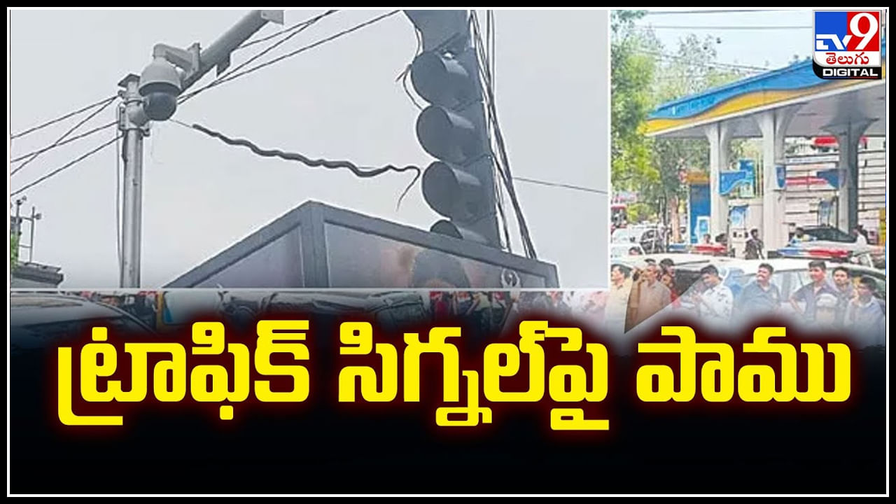 Viral: ట్రాఫిక్‌ సిగ్నల్‌పై పాము..  కేబుల్‌ వైర్లమీదుగా పాకుతూ.. వీడియో అదుర్స్.